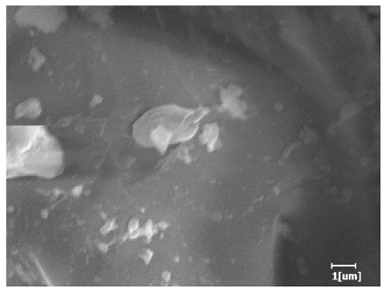 Polymers 15 02496 i007