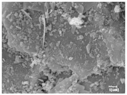 Polymers 15 02496 i010