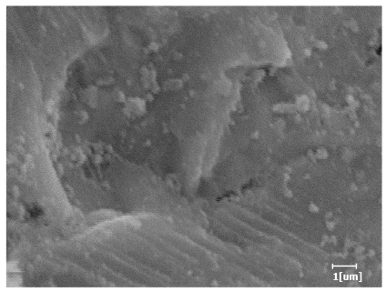 Polymers 15 02496 i011