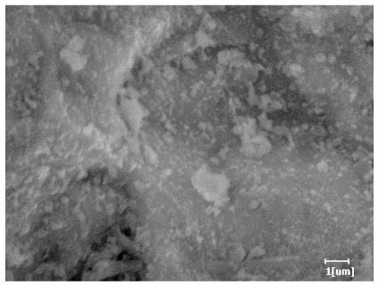 Polymers 15 02496 i014