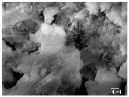 Polymers 15 02496 i017