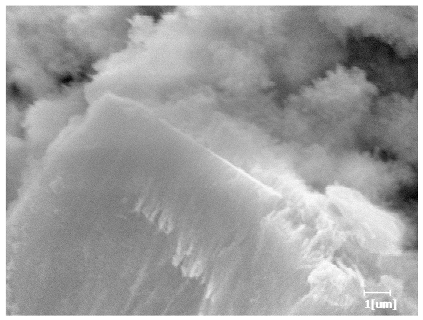 Polymers 15 02496 i019