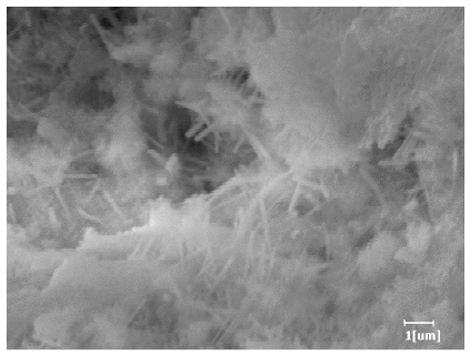 Polymers 15 02496 i021