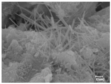 Polymers 15 02496 i022