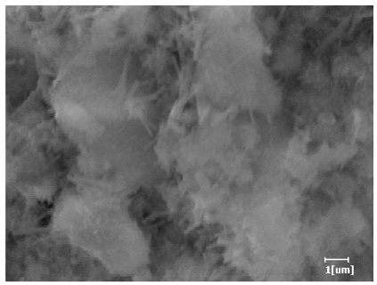 Polymers 15 02496 i023