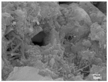 Polymers 15 02496 i024