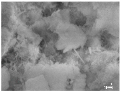 Polymers 15 02496 i025