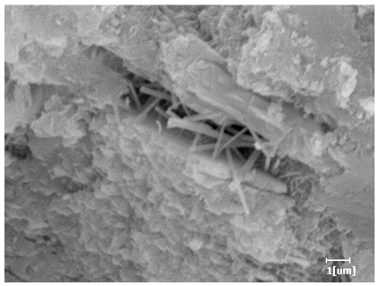 Polymers 15 02496 i026