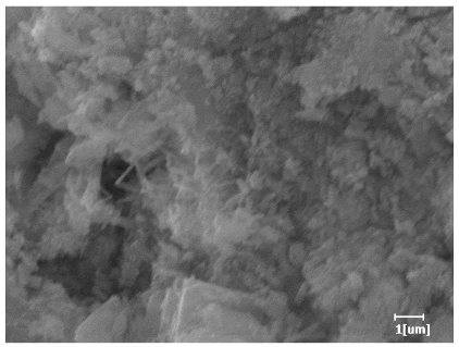 Polymers 15 02496 i029