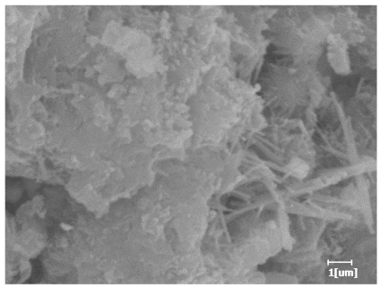 Polymers 15 02496 i030