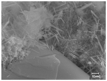 Polymers 15 02496 i031