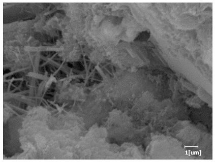 Polymers 15 02496 i032