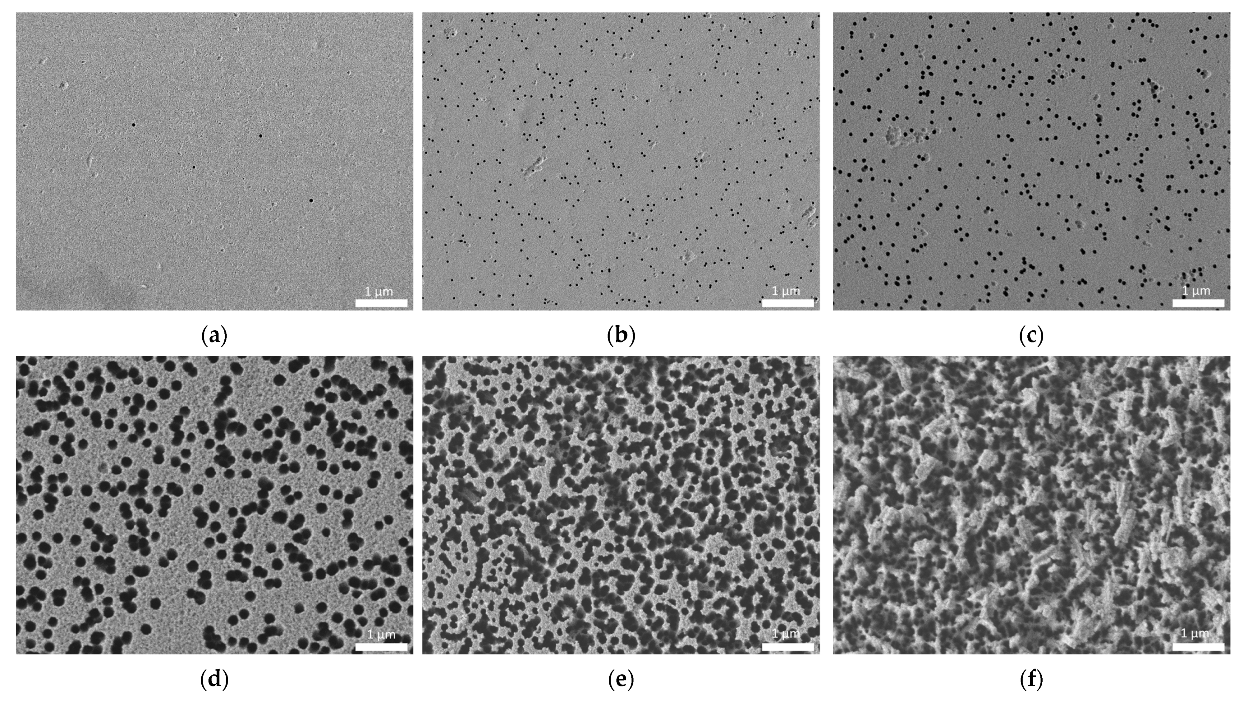 Polymers 15 02500 g001
