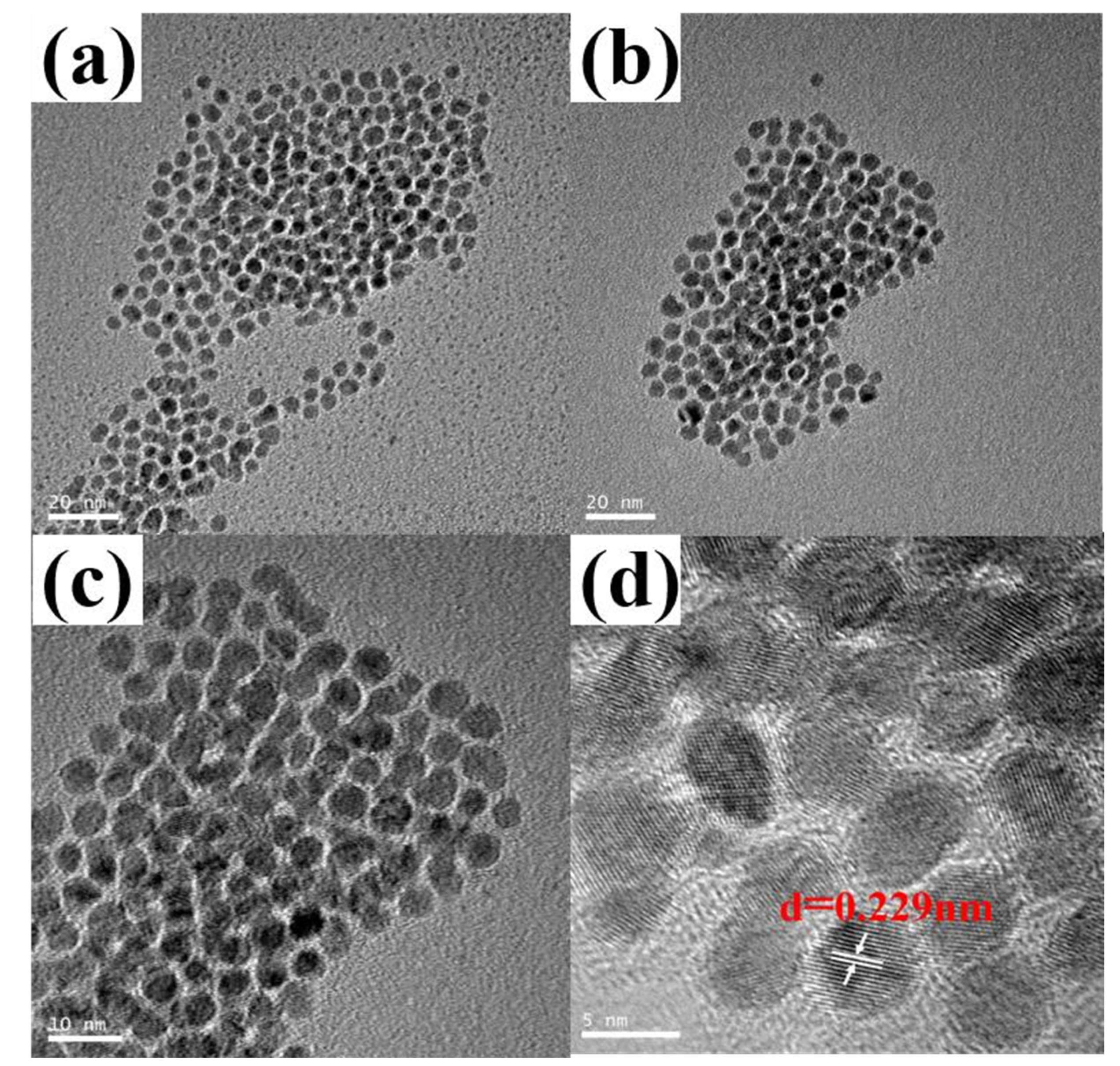 Polymers 15 02501 g003