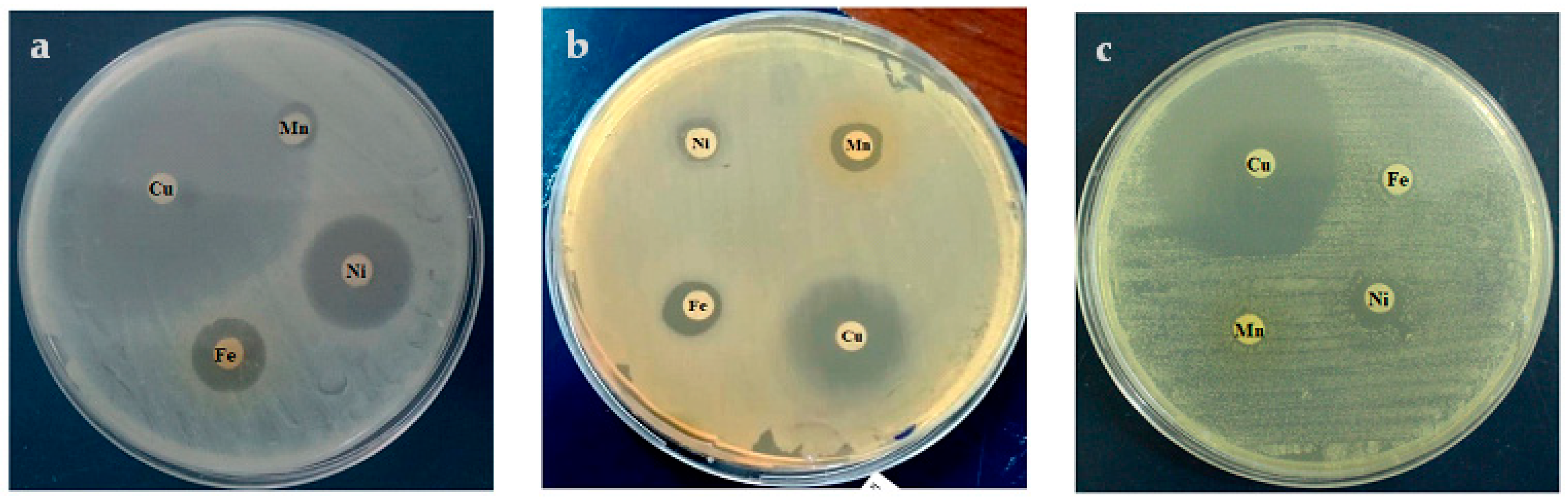 Polymers 15 02511 g008 Polymers 15 02511 g008