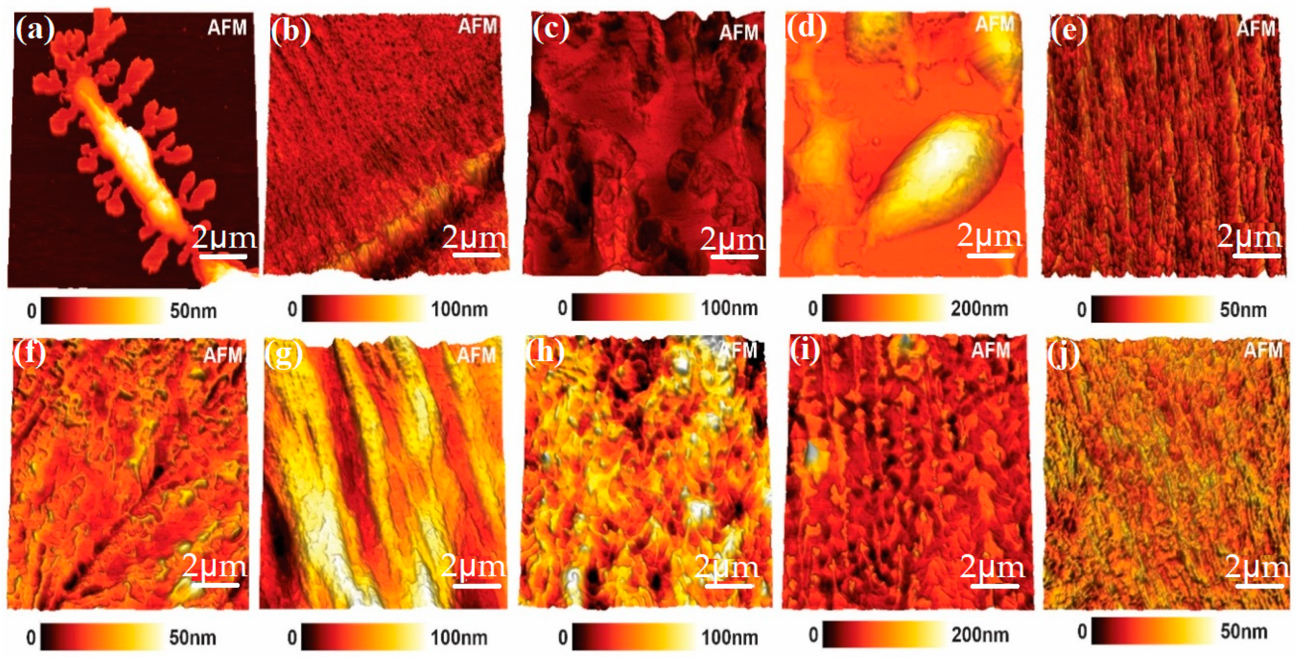 Polymers 15 02513 g002 Polymers 15 02513 g002