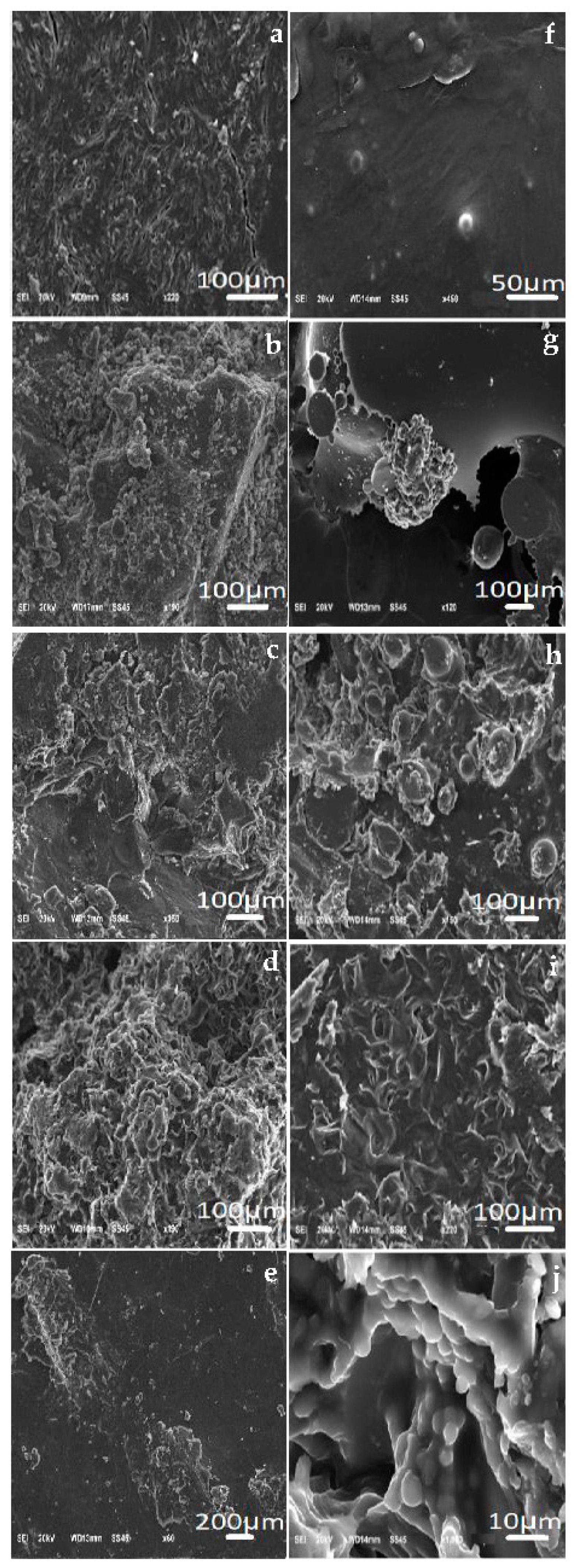 Polymers 15 02513 g003 Polymers 15 02513 g003