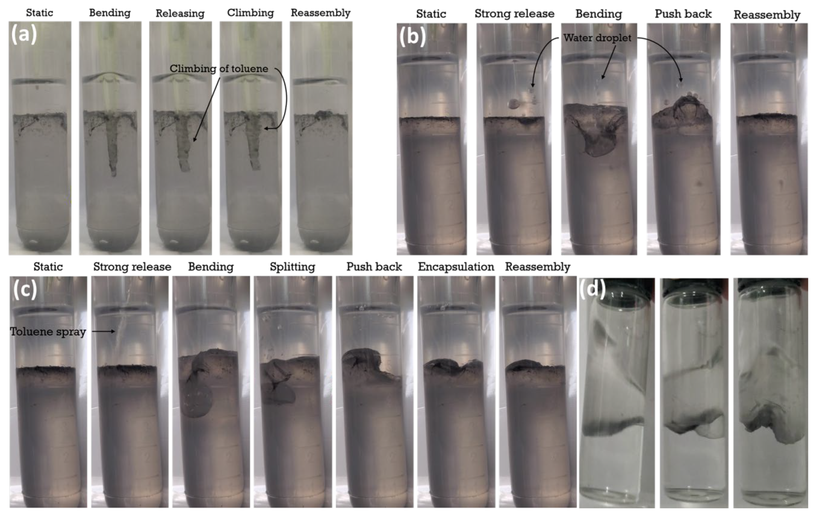 Polymers 15 02515 g007