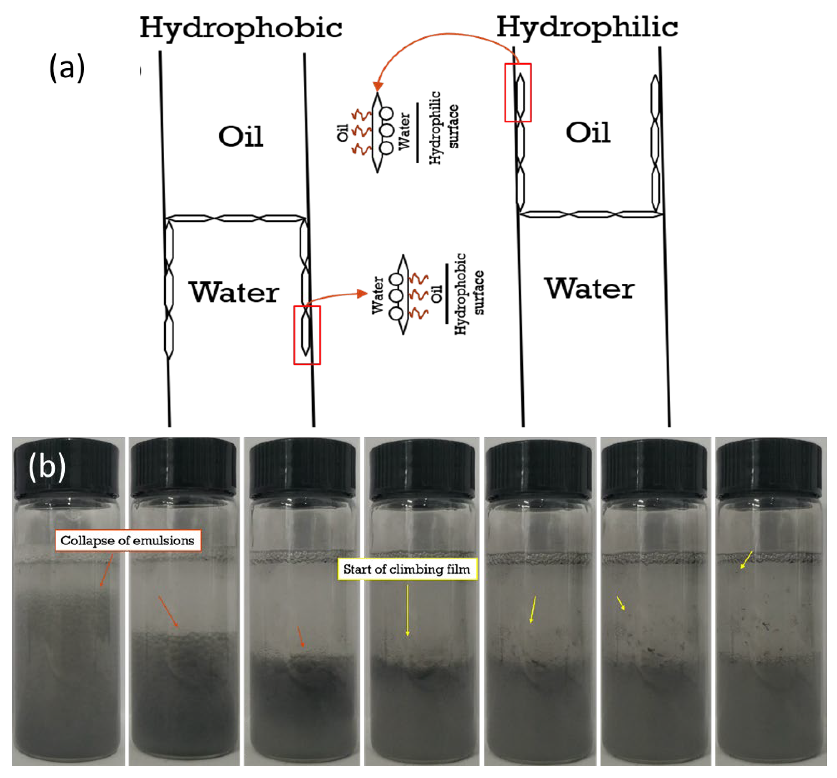Polymers 15 02515 g009