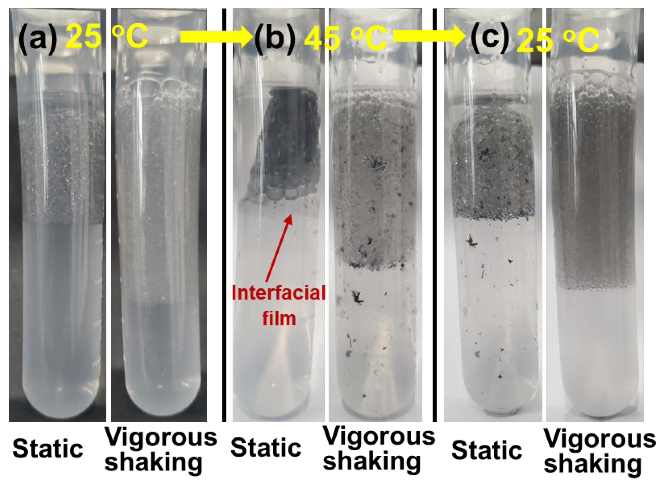 Polymers 15 02515 g010