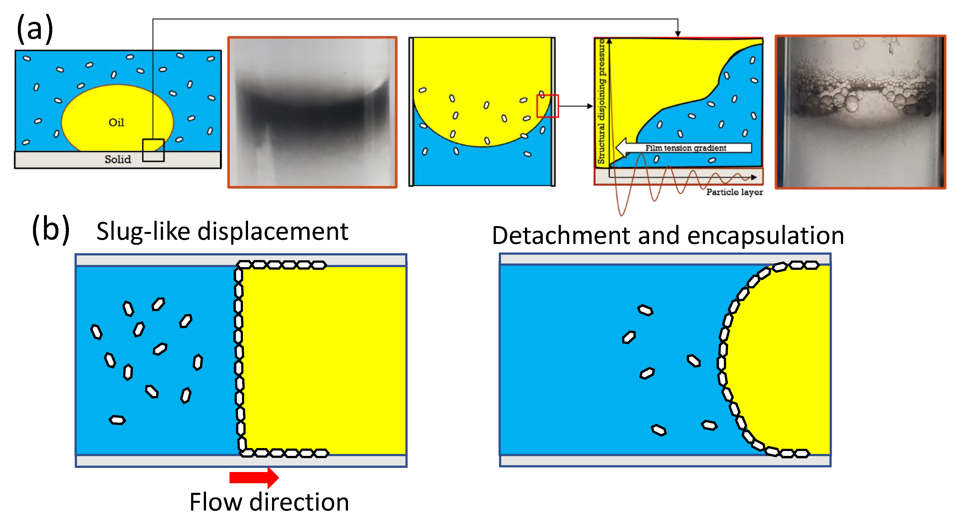 Polymers 15 02515 g013