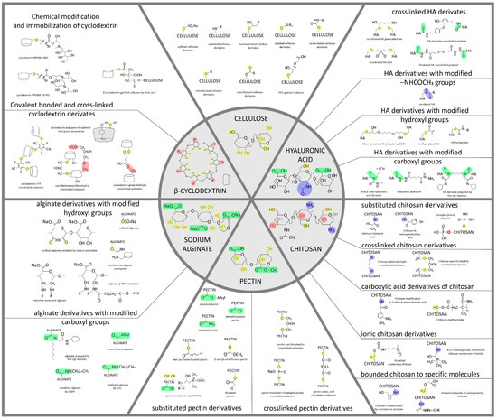 Polymers 15 02516 g001