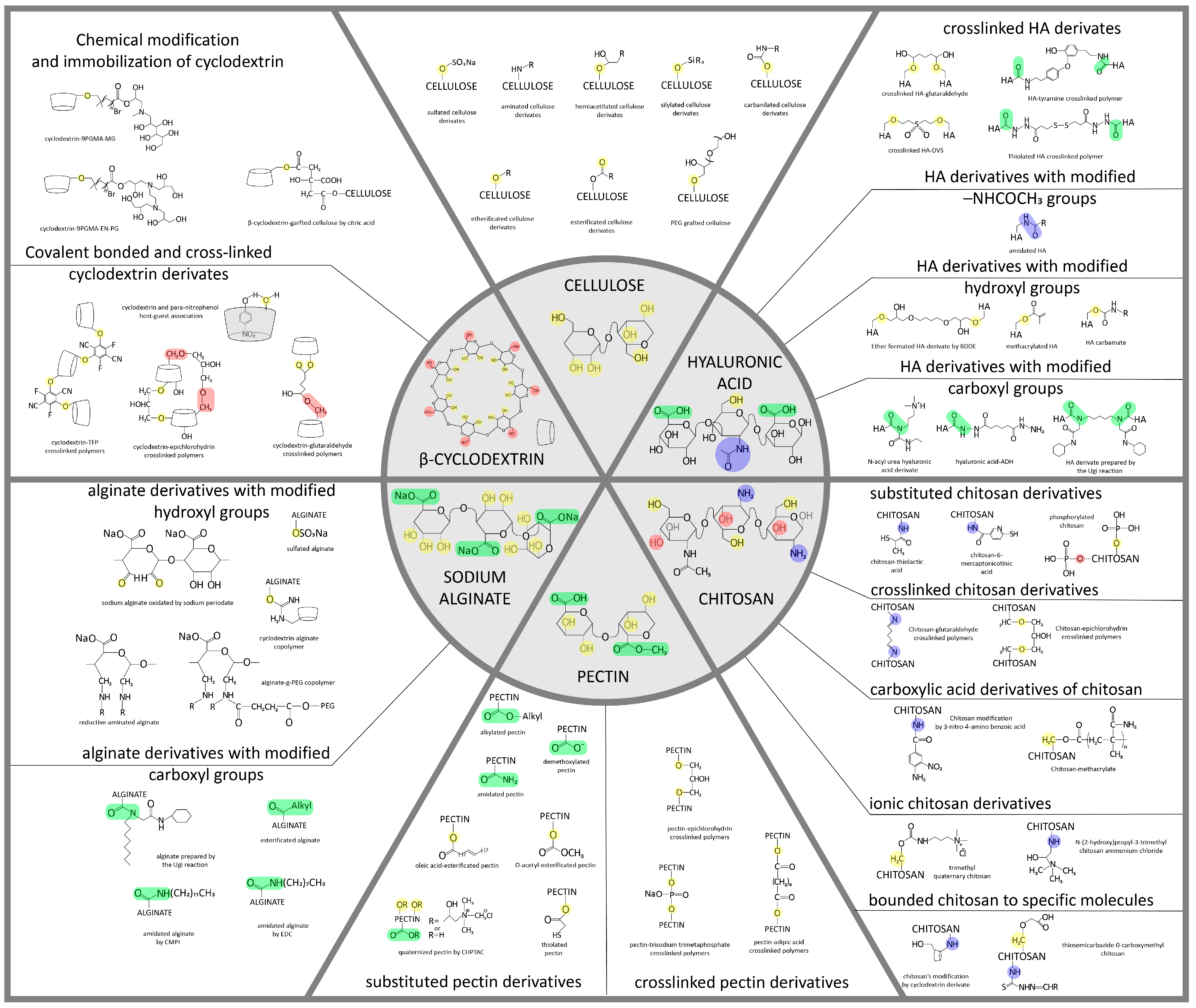 Polymers 15 02516 g001