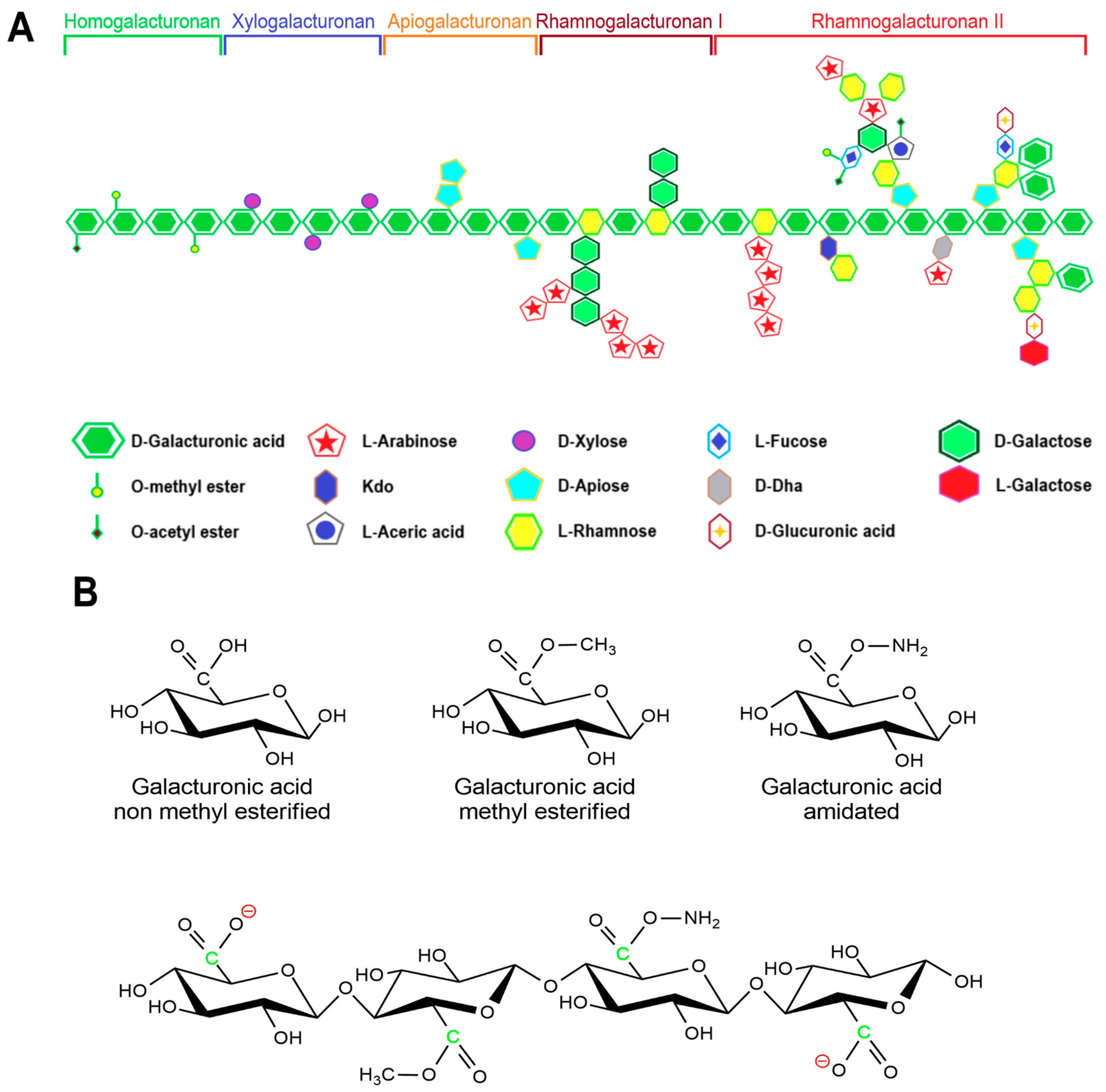 Polymers 15 02516 g003