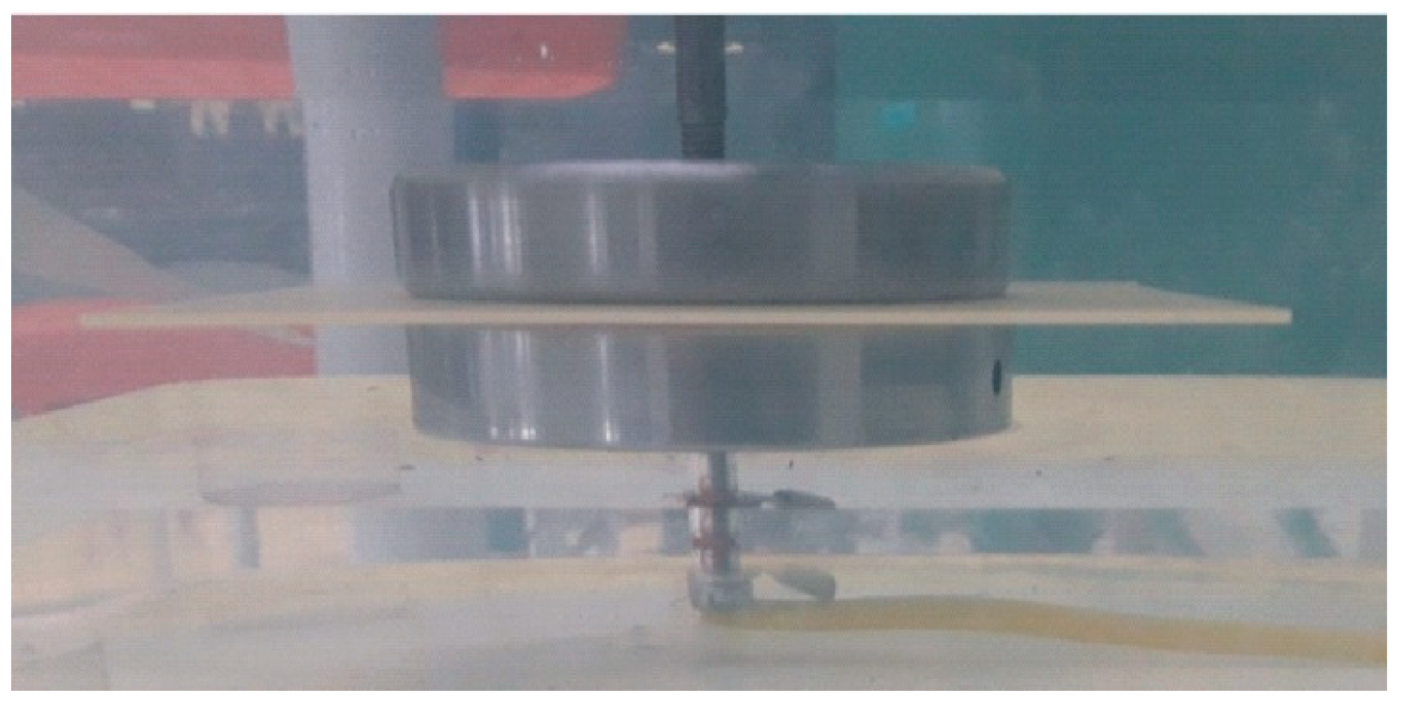 Polymers 15 02518 g007