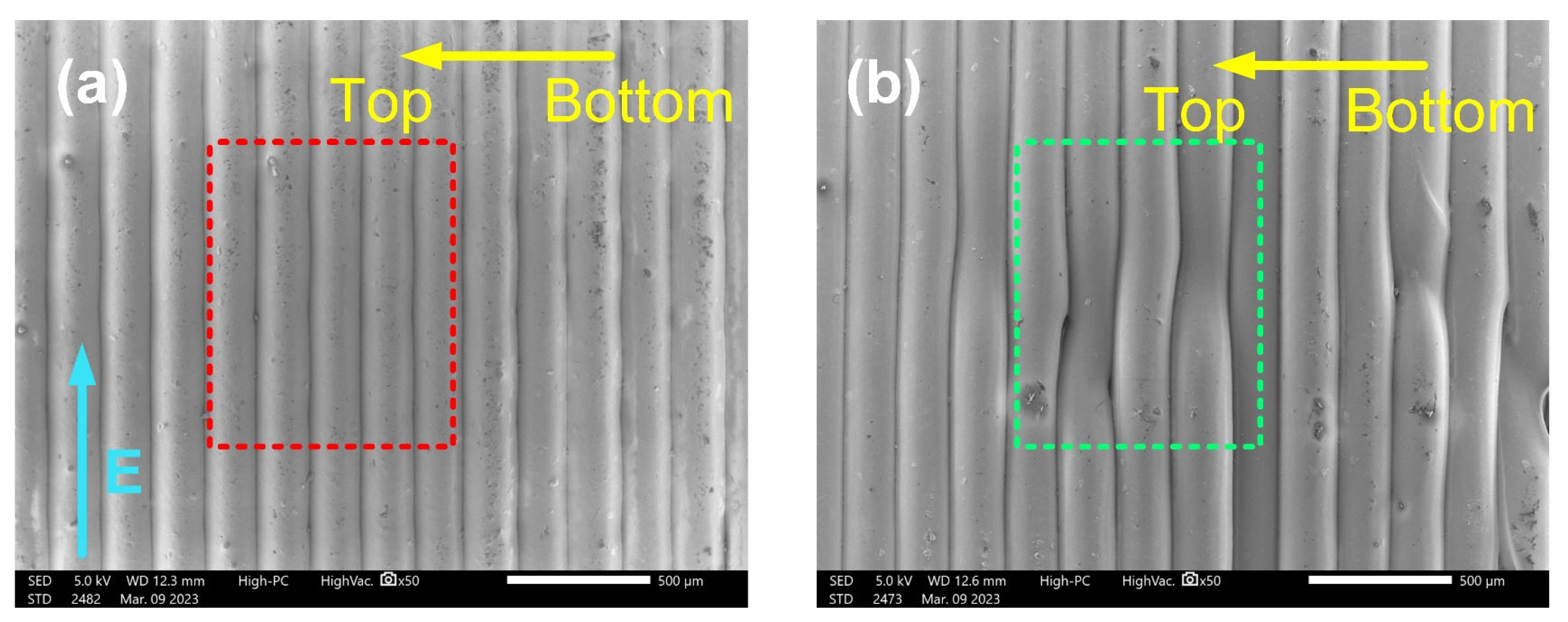 Polymers 15 02520 g004
