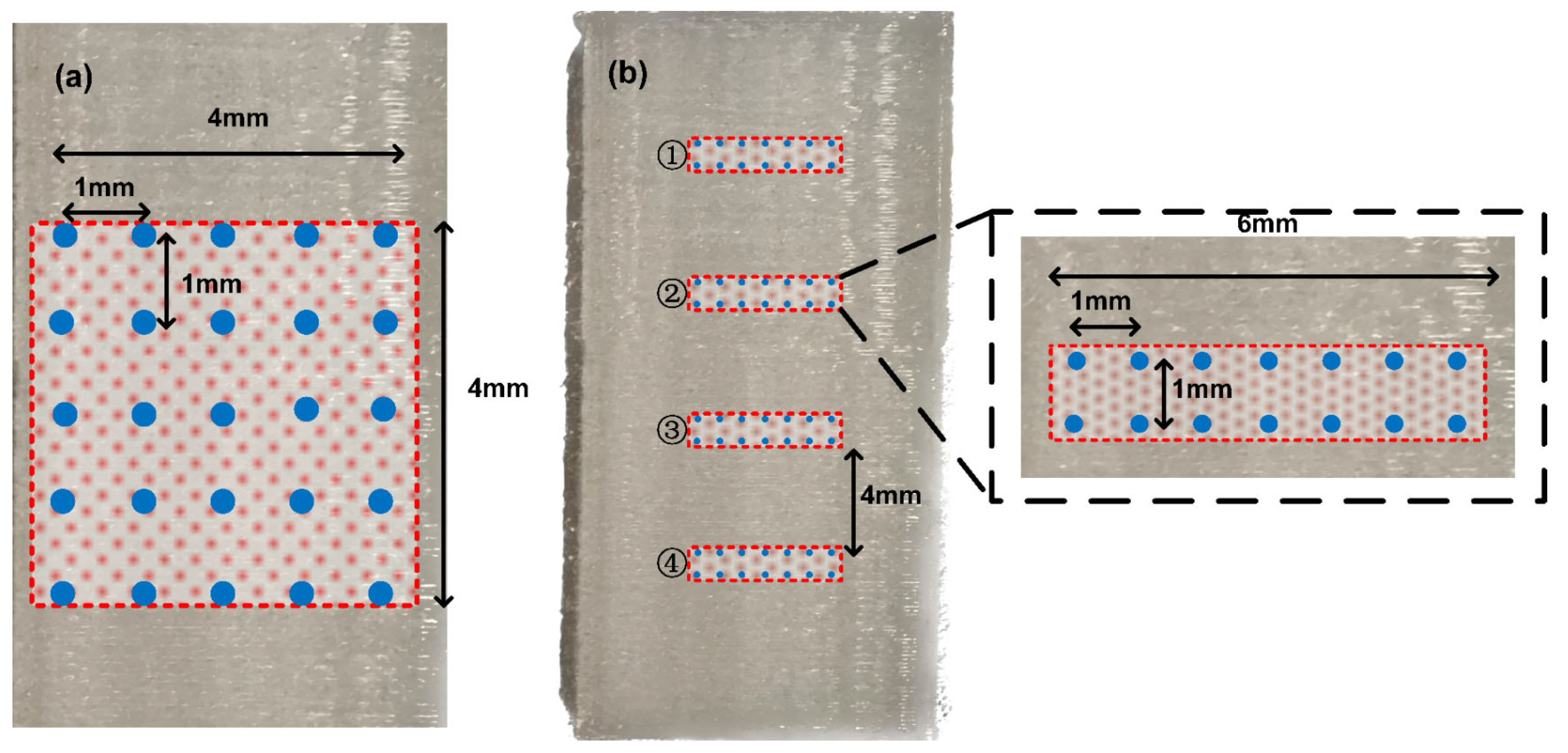 Polymers 15 02520 g005