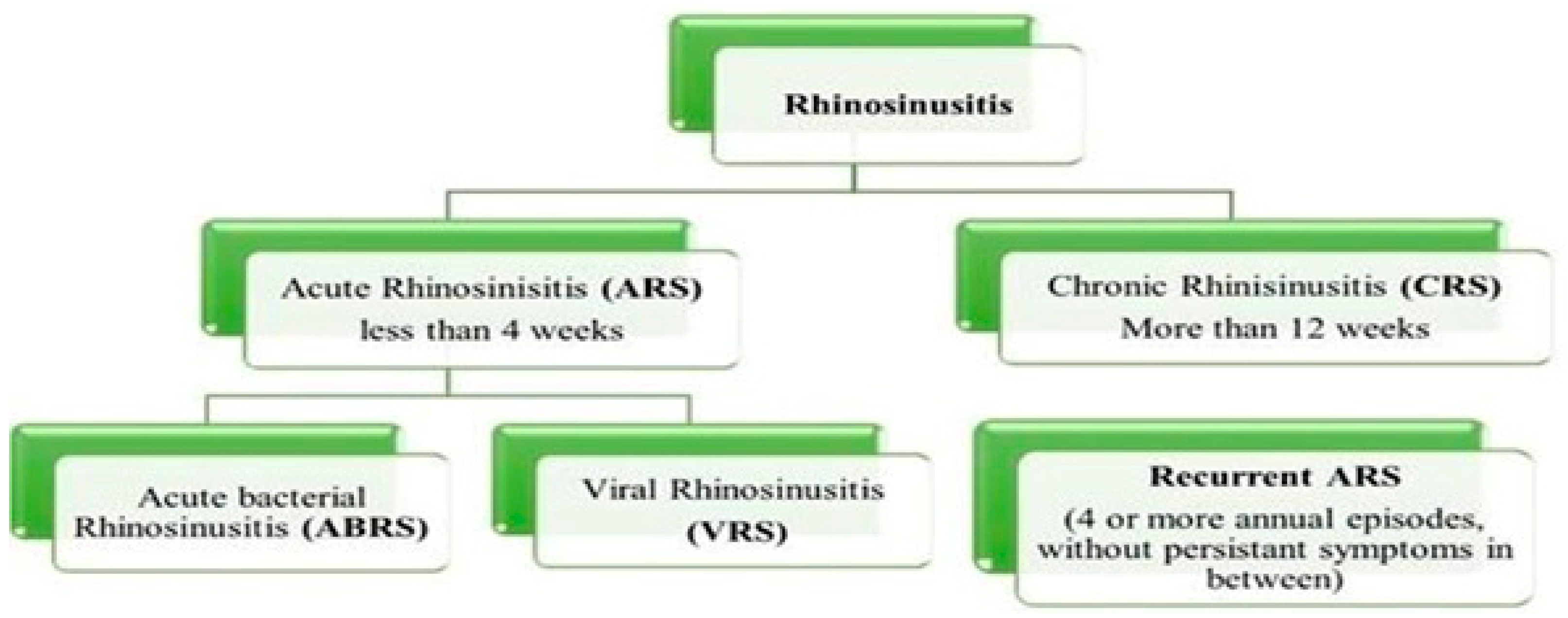 Polymers 15 02521 g002