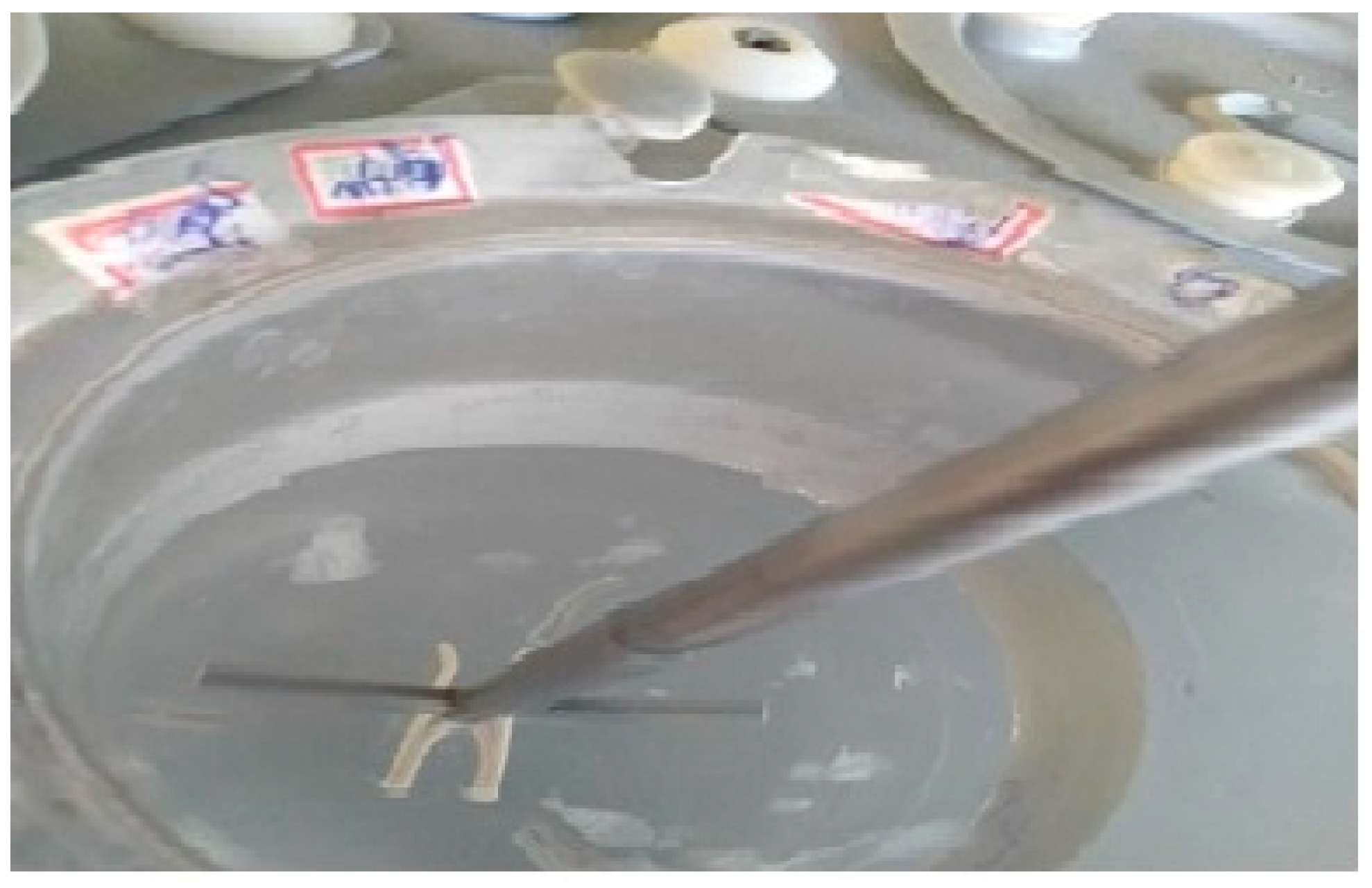 Polymers 15 02521 g005