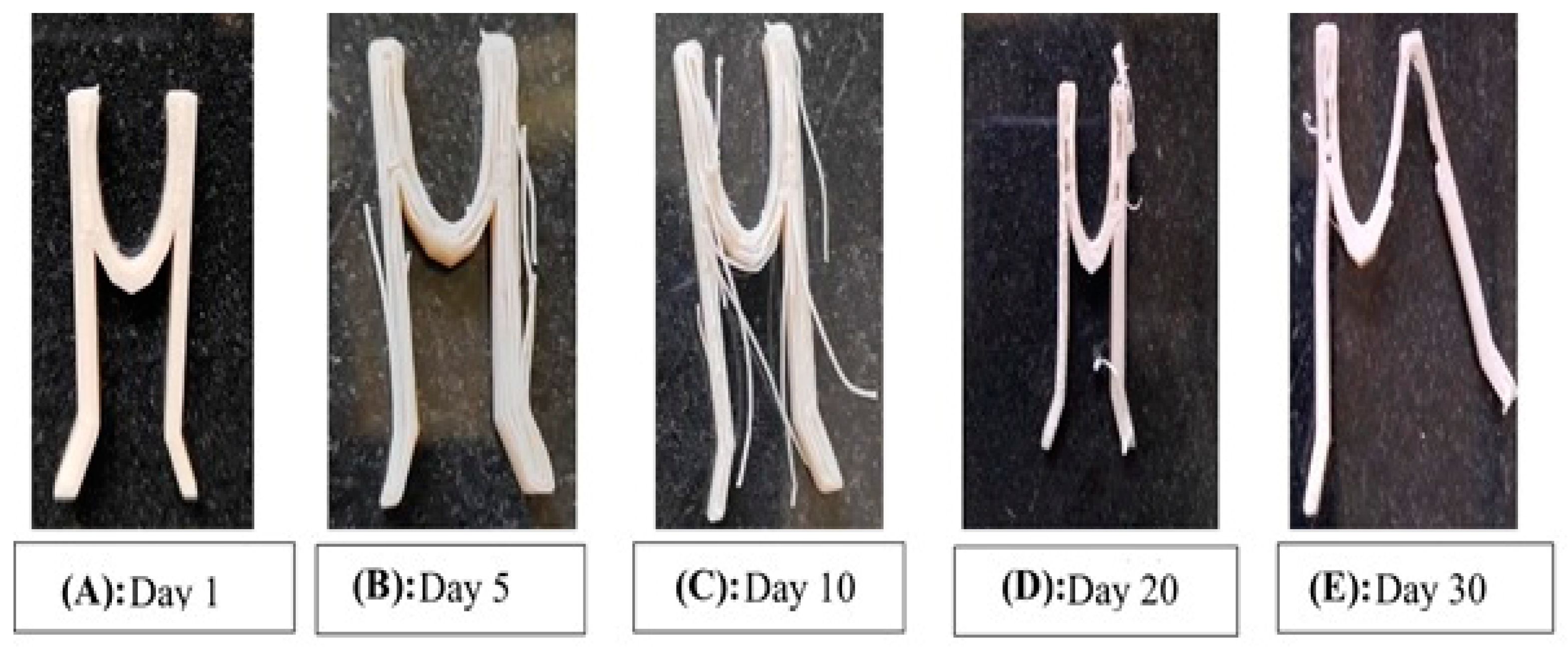 Polymers 15 02521 g016