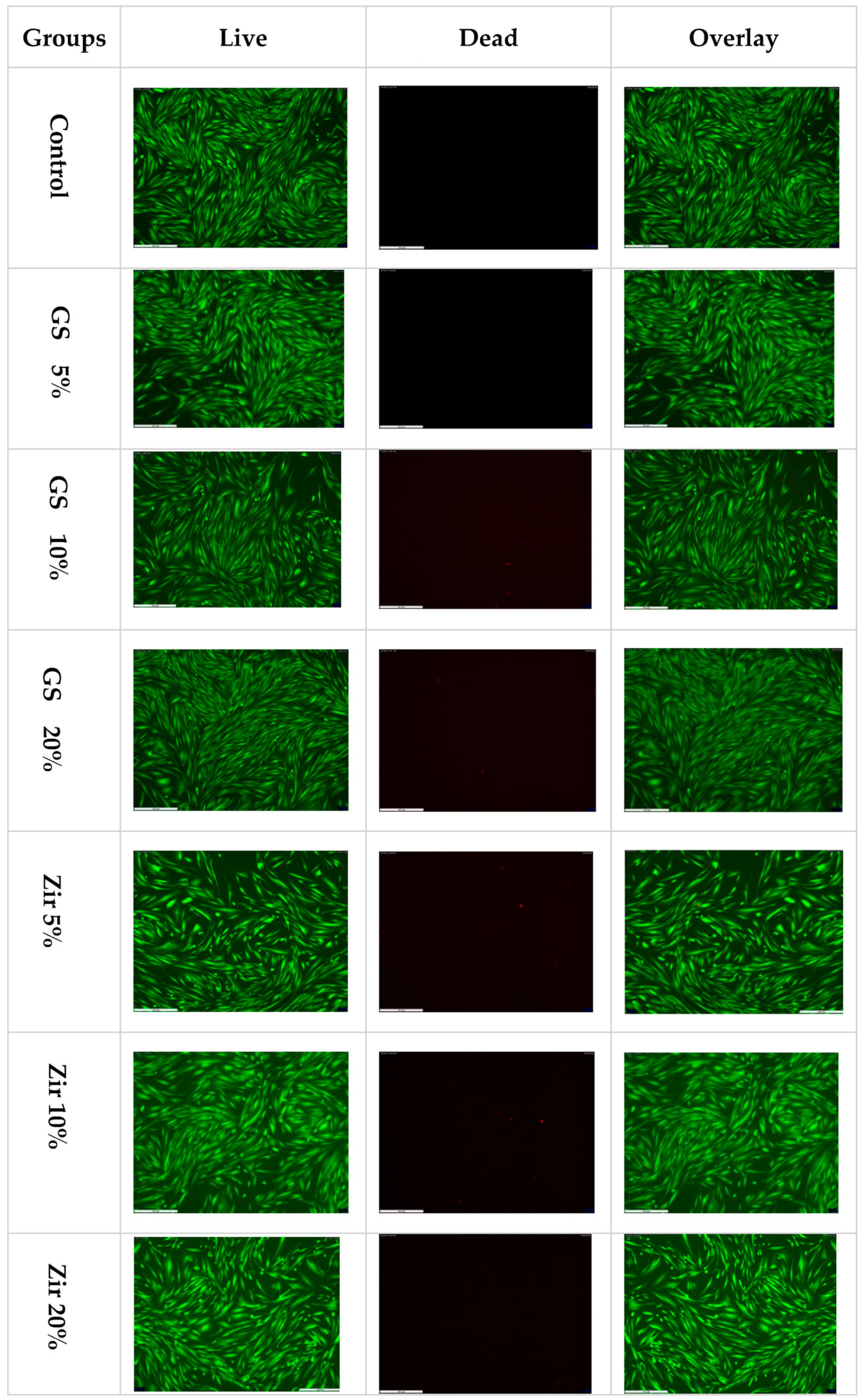 Polymers 15 02523 g004