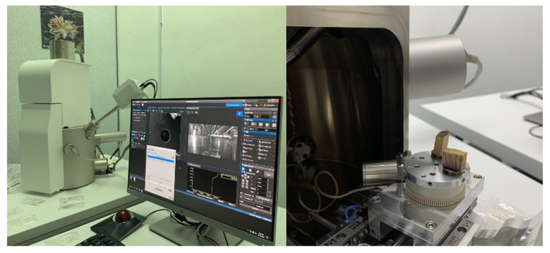 Polymers 15 02525 g007