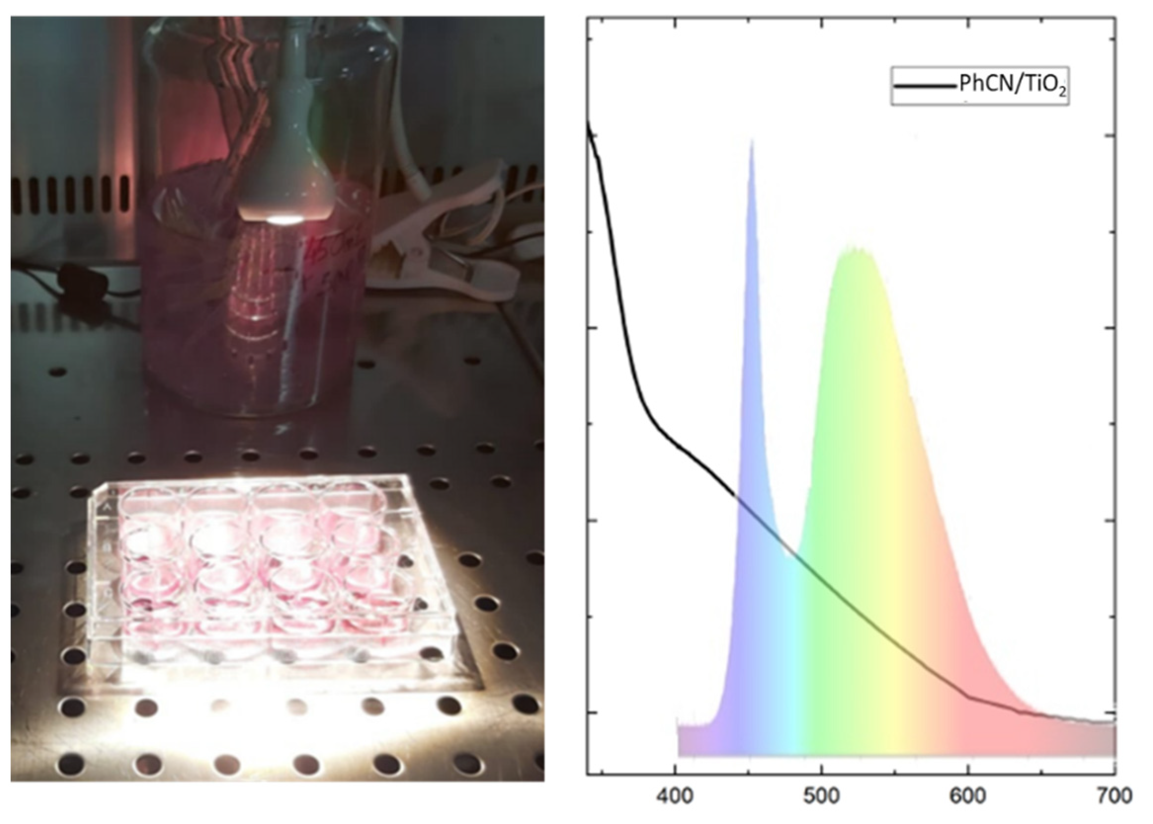 Polymers 15 02536 g005