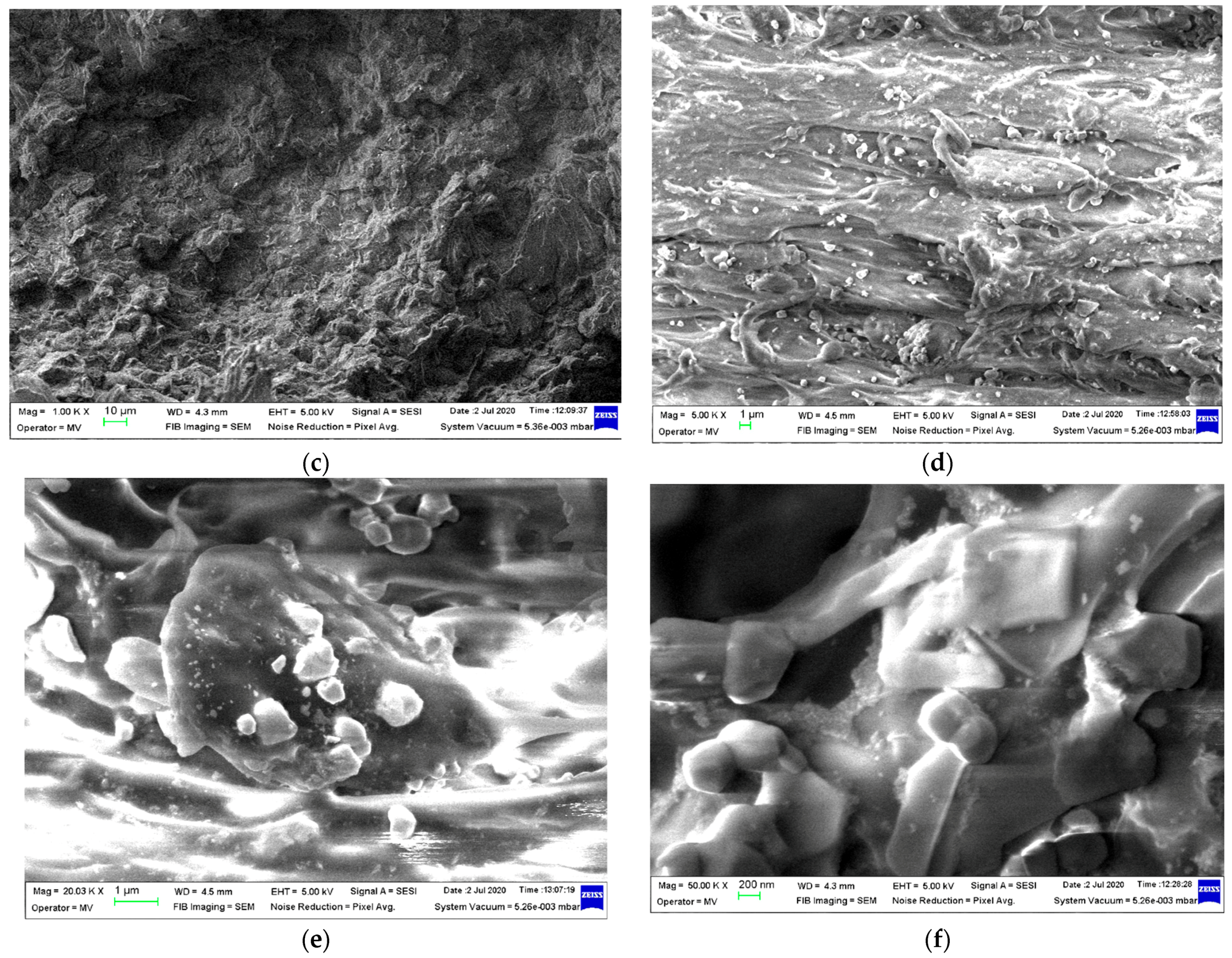 Polymers 15 02548 g003b