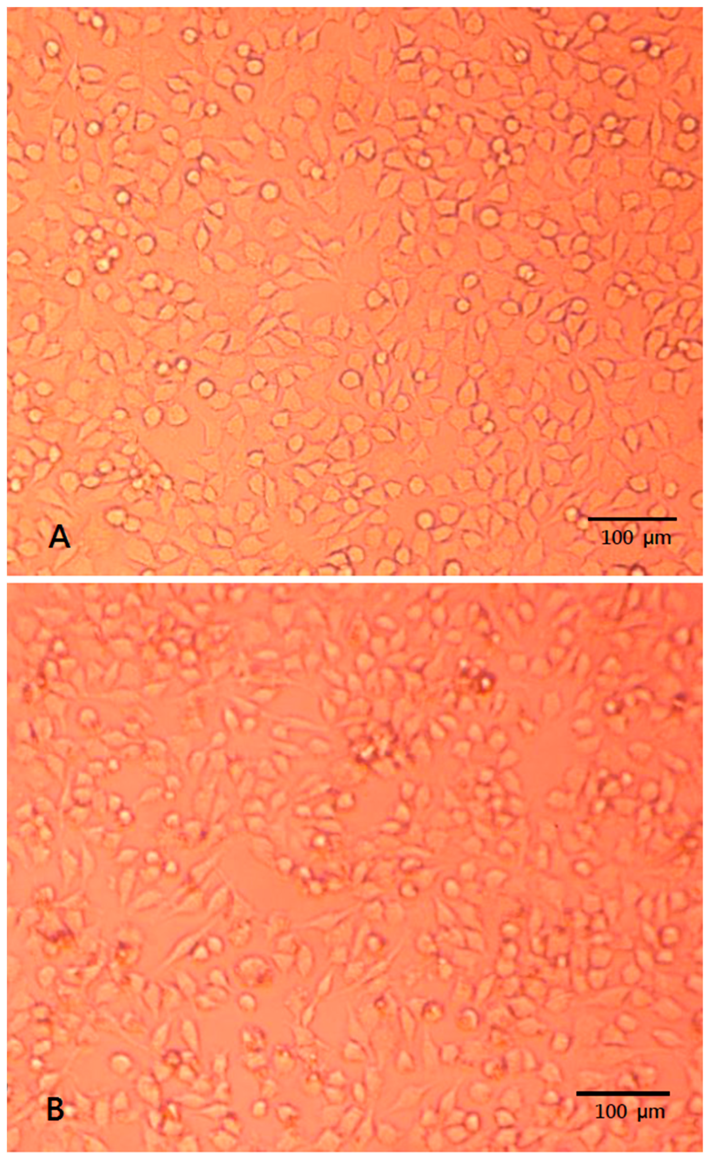 Polymers 15 02555 g008 Polymers 15 02555 g008