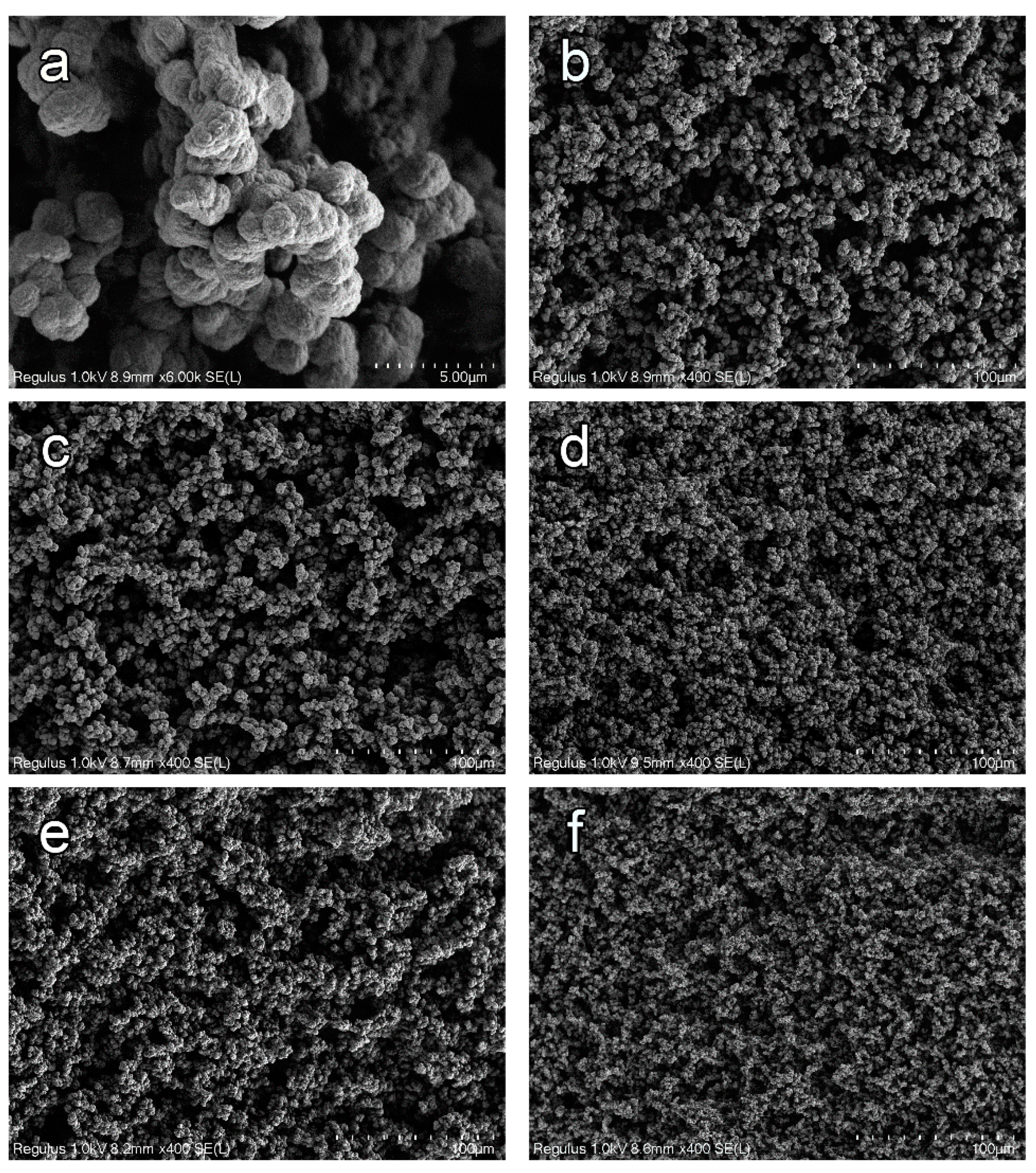 Polymers 15 02558 g002