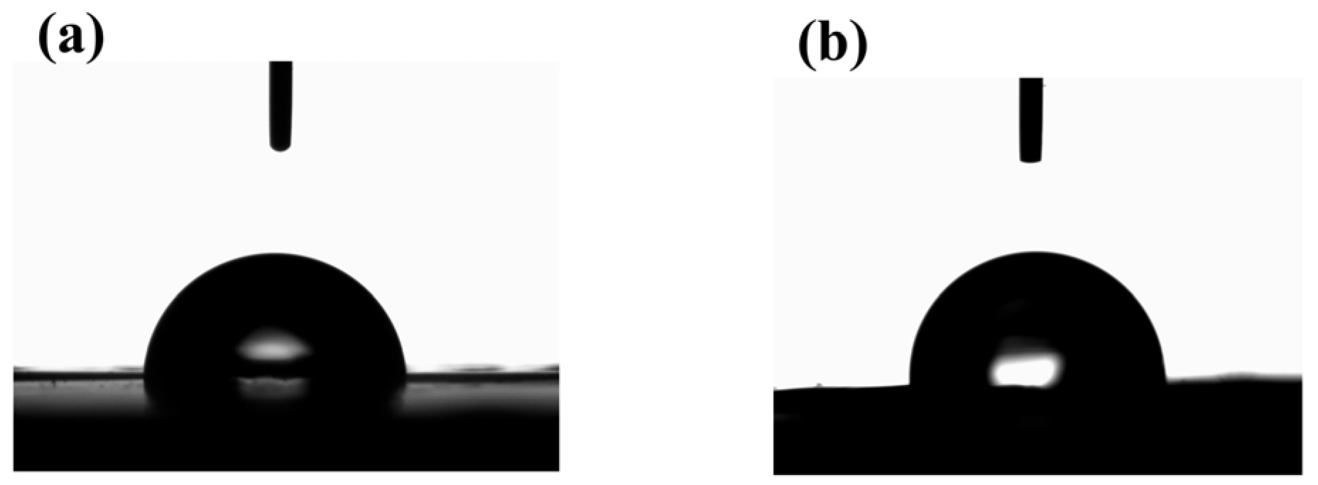 Polymers 15 02574 g013