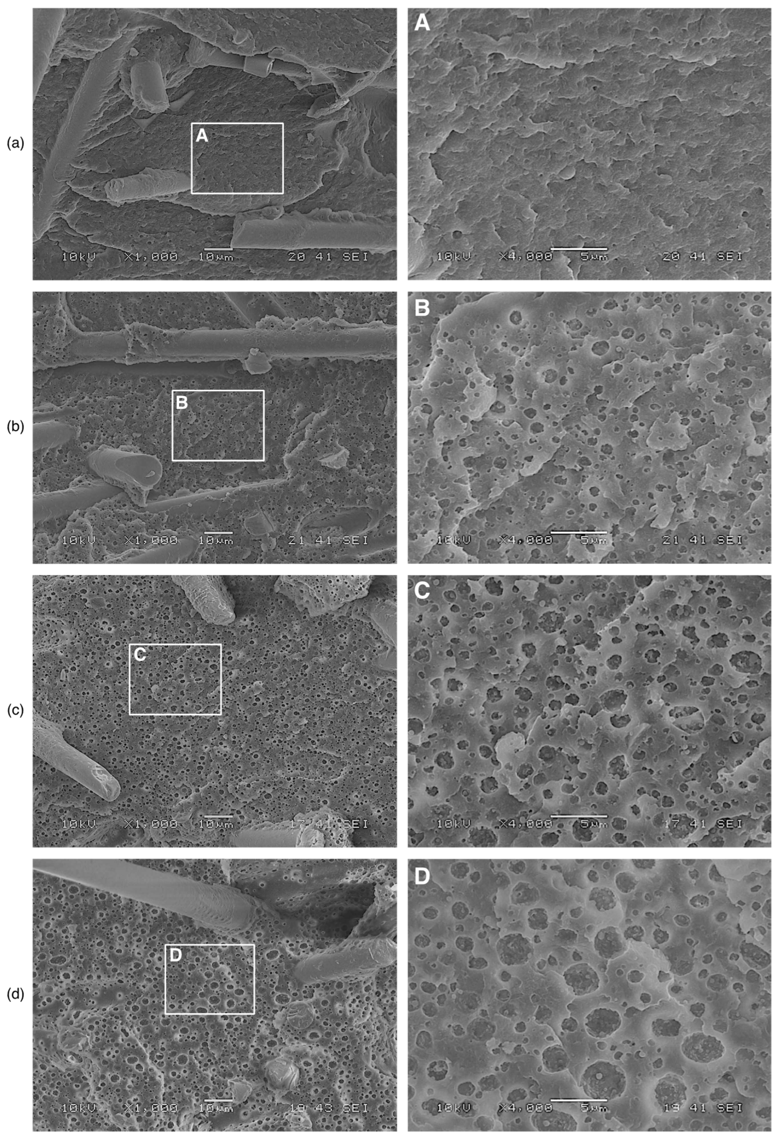 Polymers 15 02580 g003