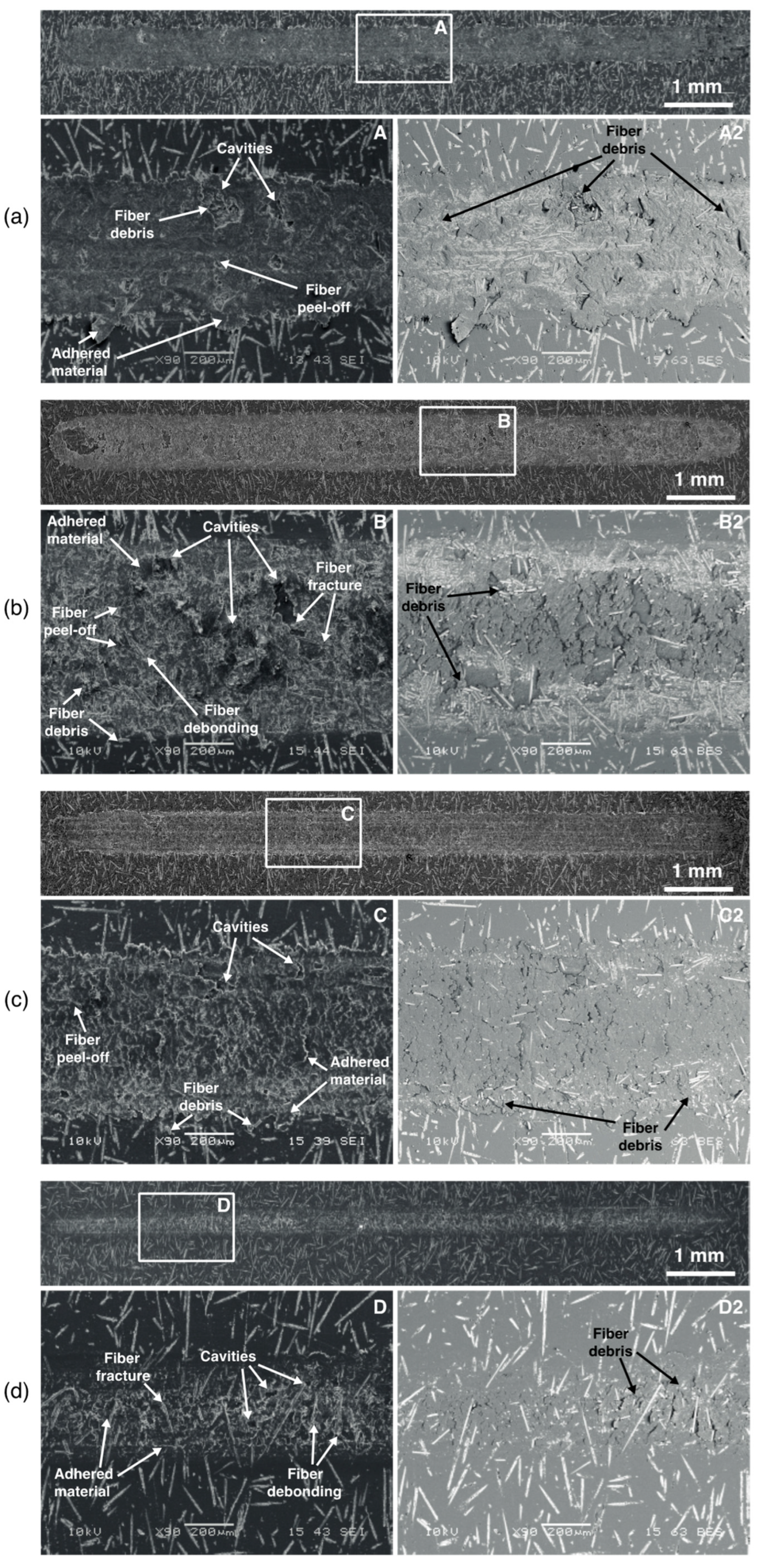 Polymers 15 02580 g005