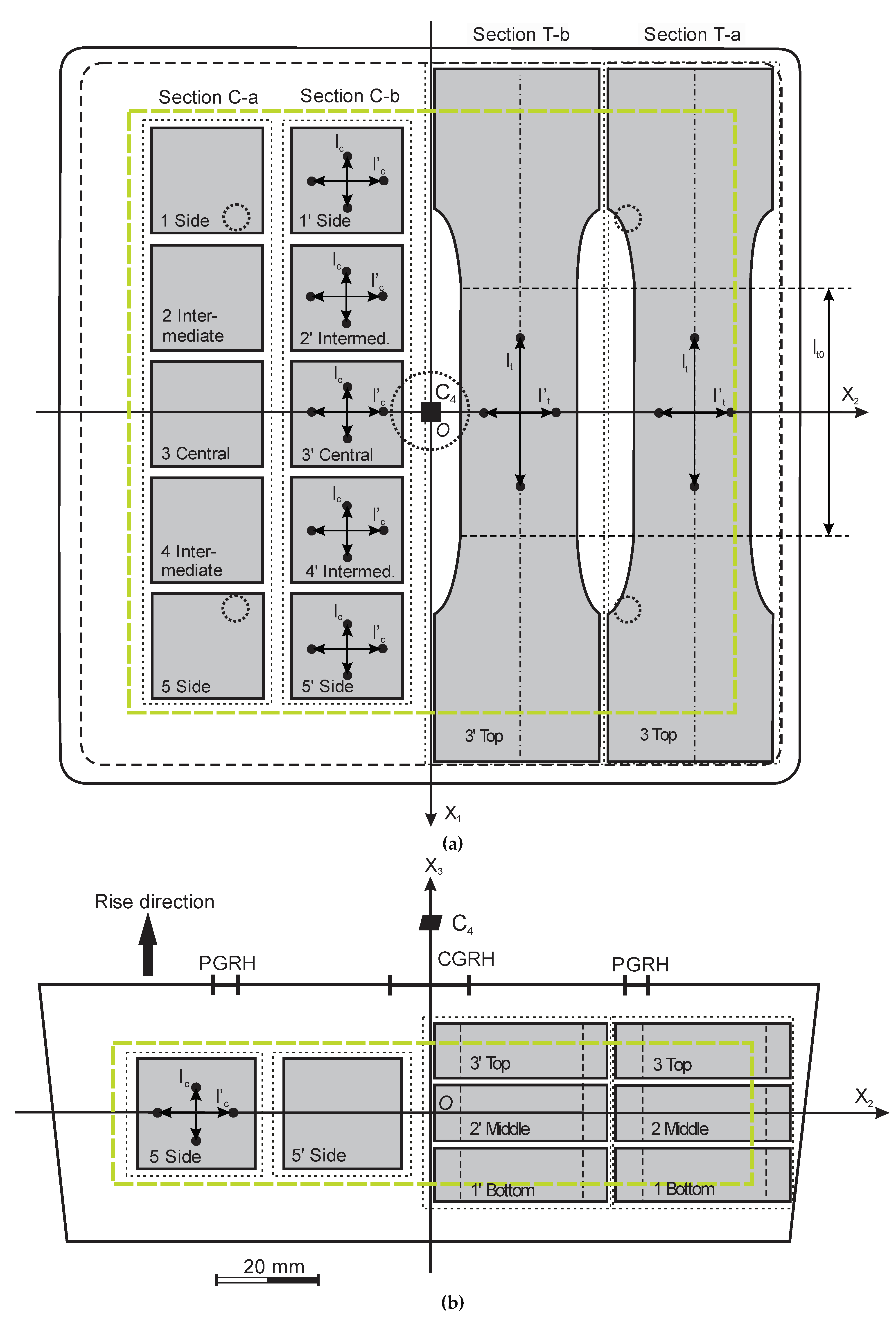 Polymers 15 02582 g002