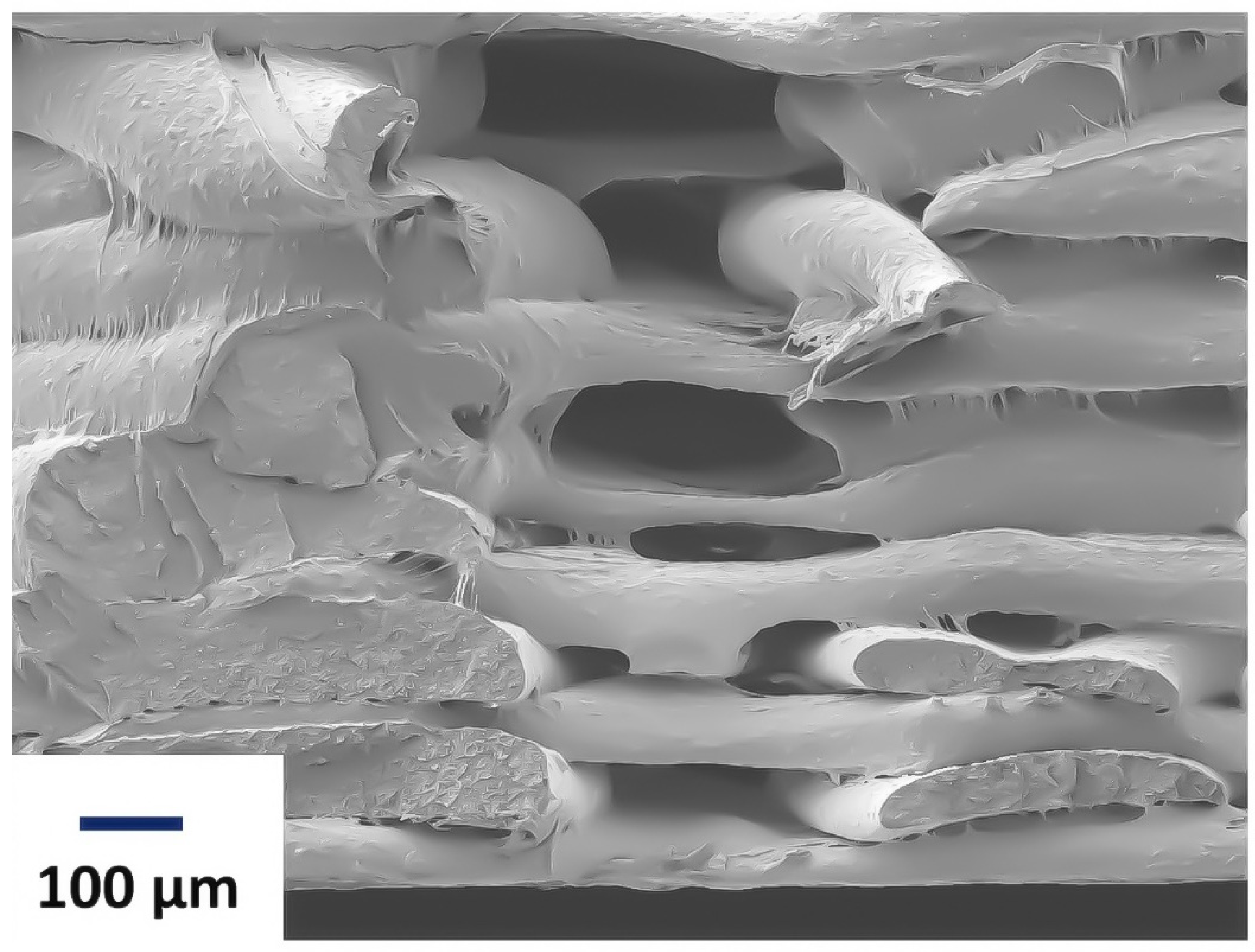 Polymers 15 02585 g003