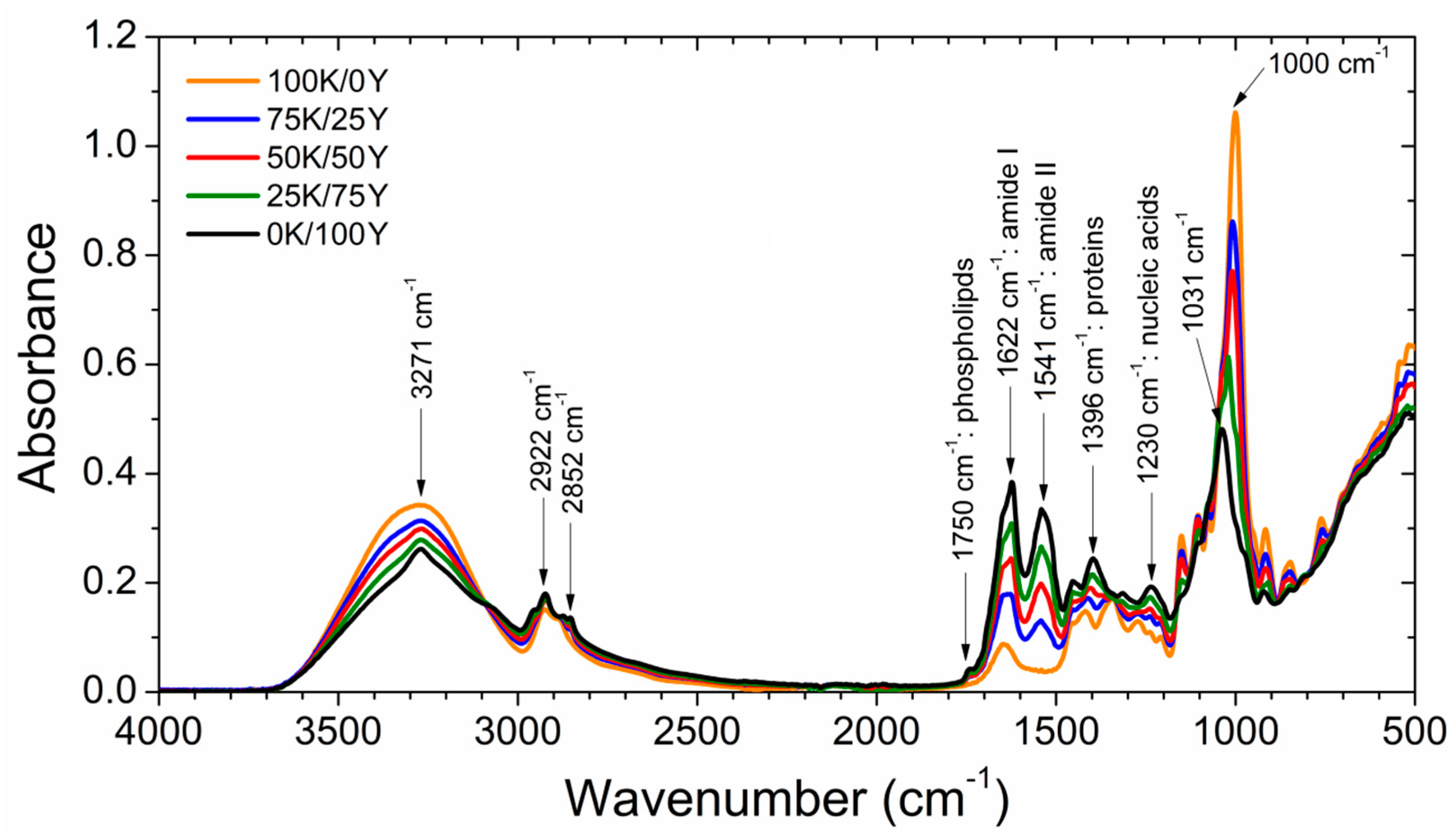 Polymers 15 02594 g003