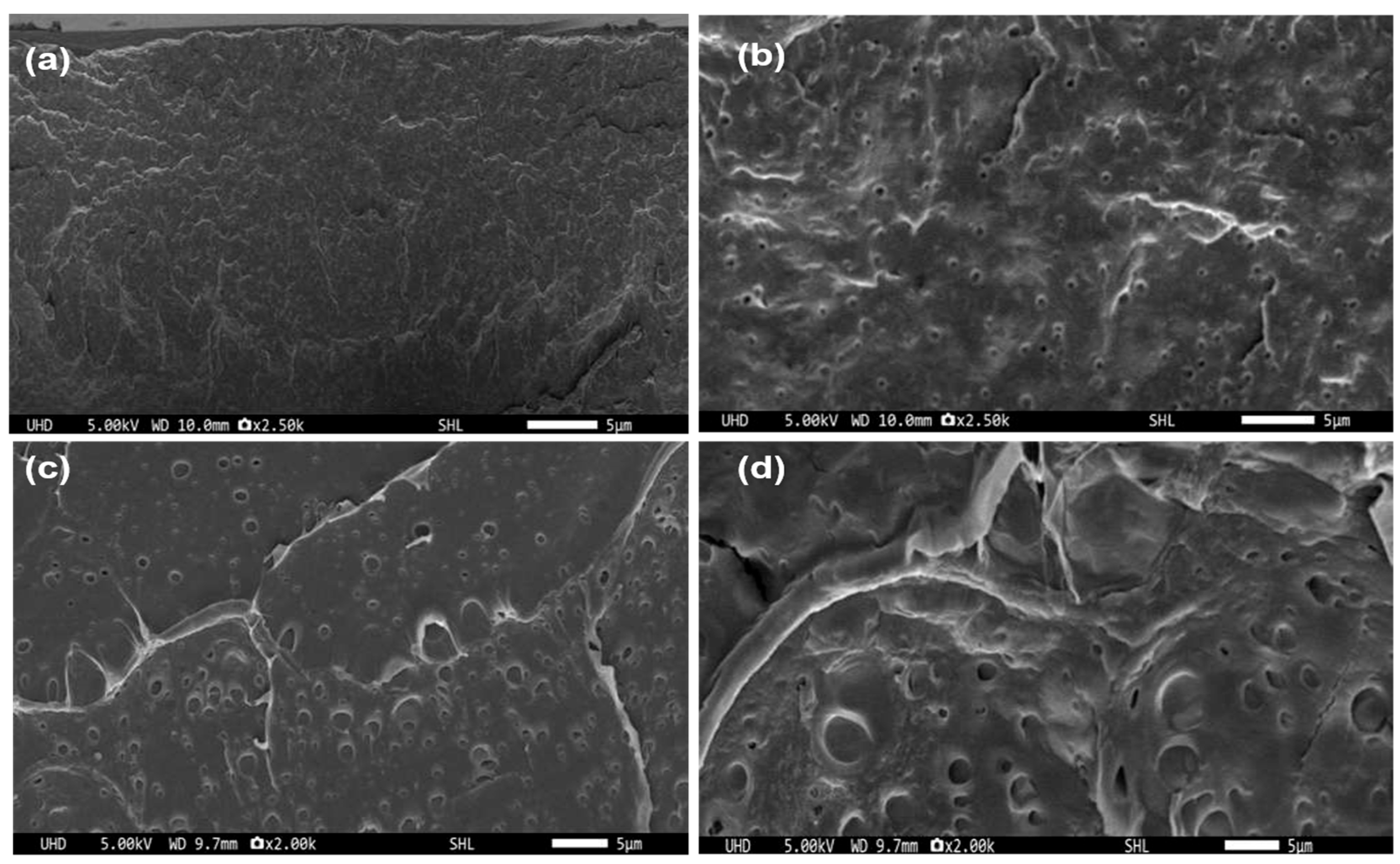 Polymers 15 02617 g009