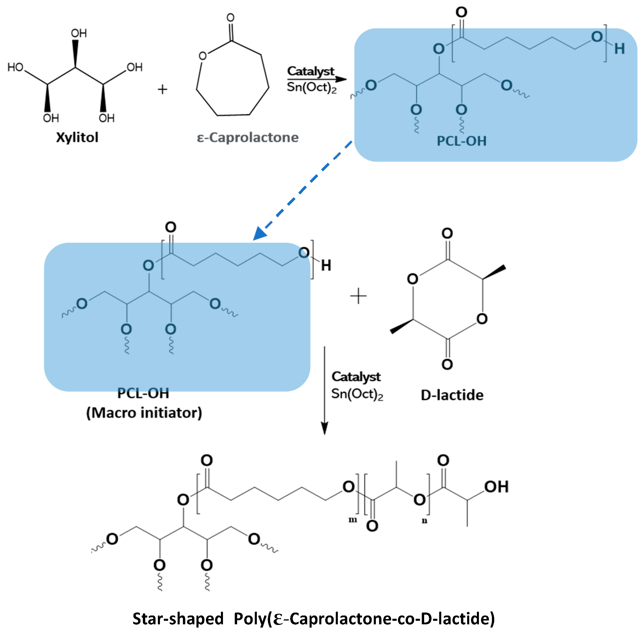 Polymers 15 02617 sch002