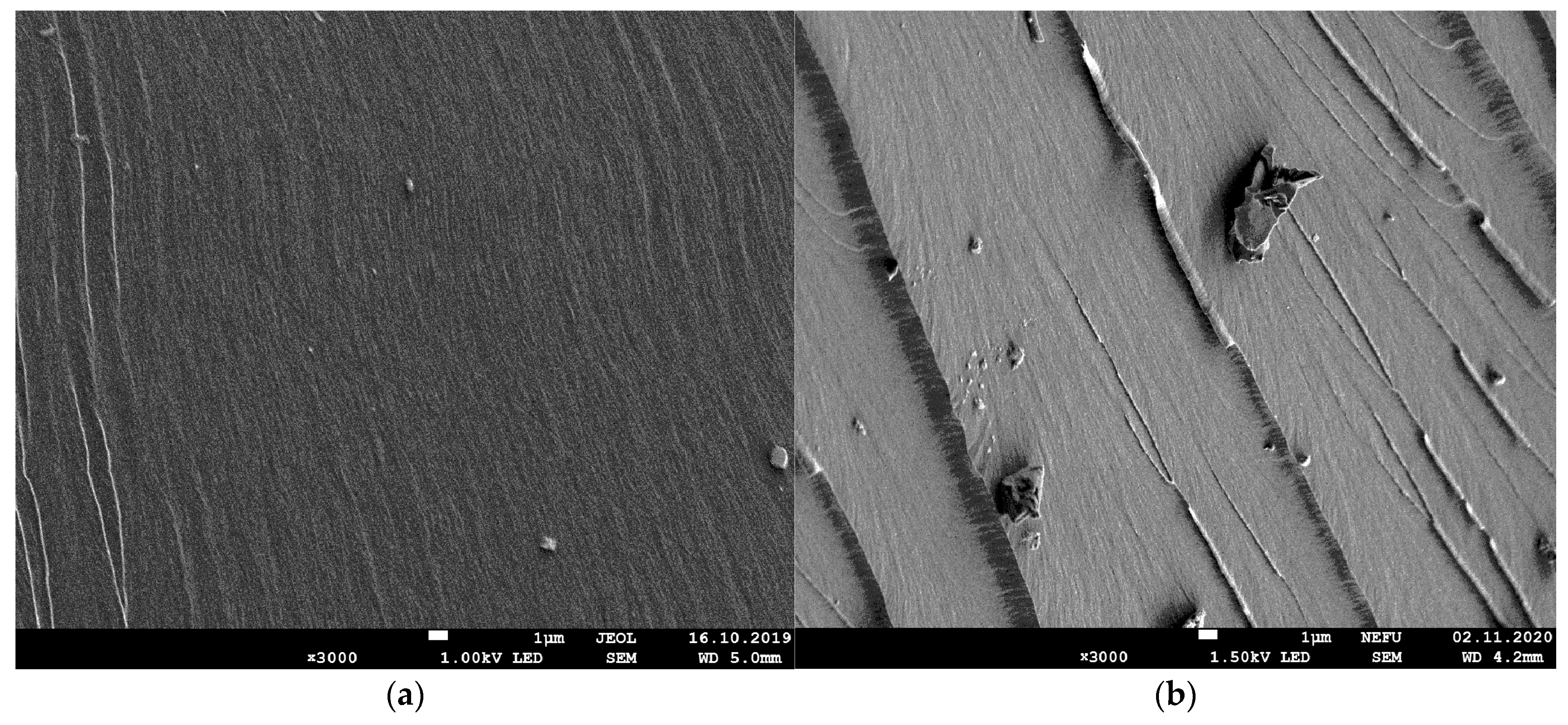 Polymers 15 02632 g013