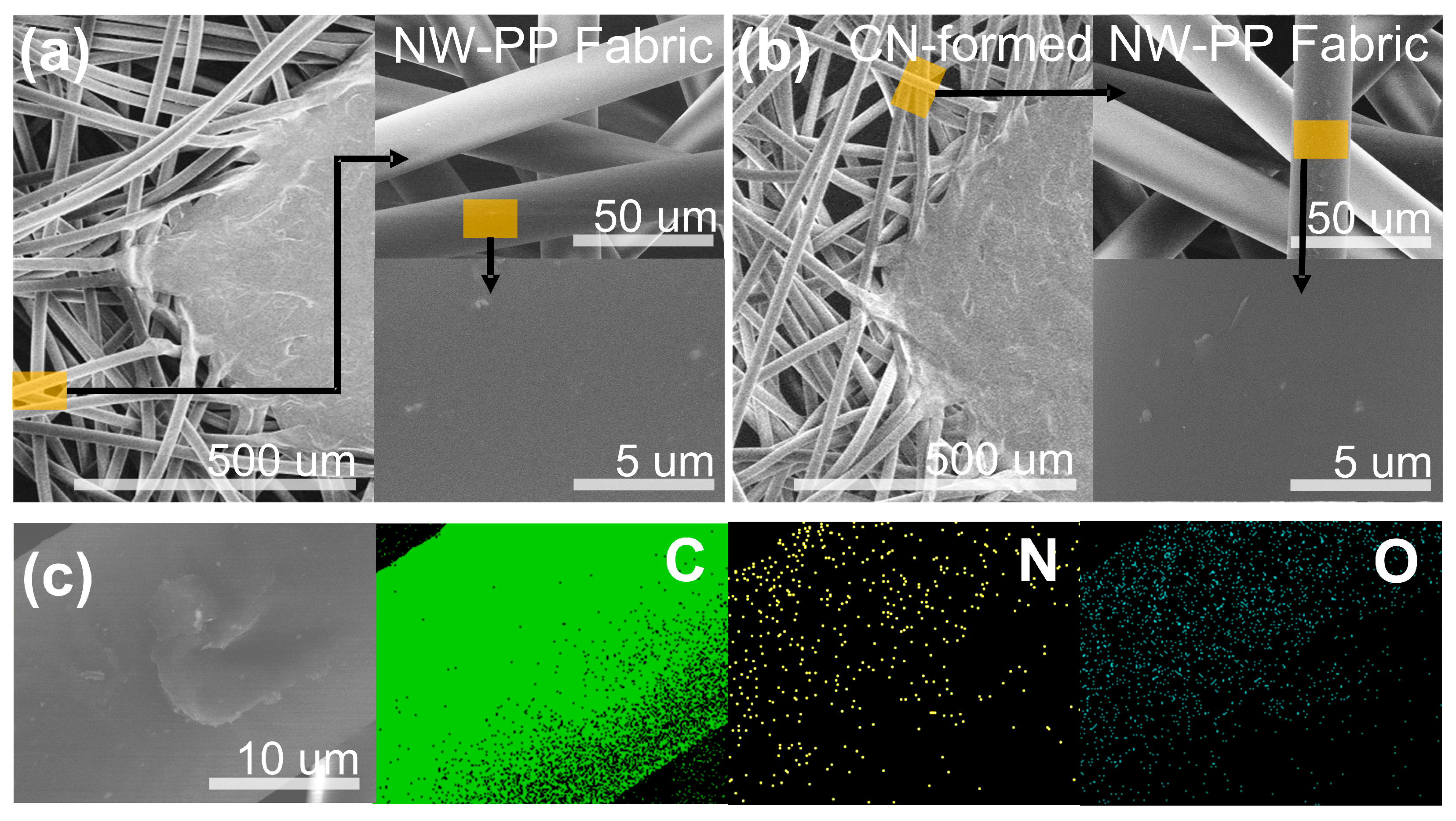 Polymers 15 02641 g003 Polymers 15 02641 g003